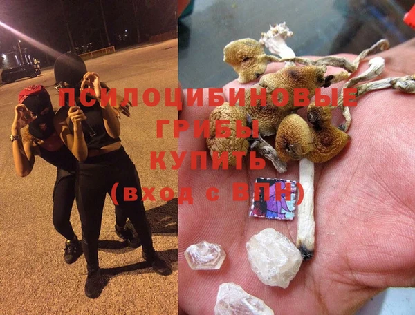 бутират Белокуриха