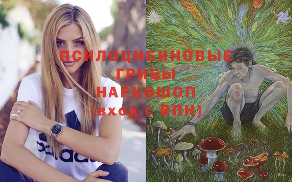 бутират Белокуриха