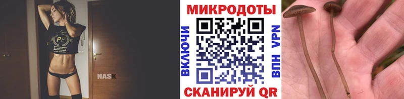 Галлюциногенные грибы Magic Shrooms блэк спрут ССЫЛКА Пятигорск