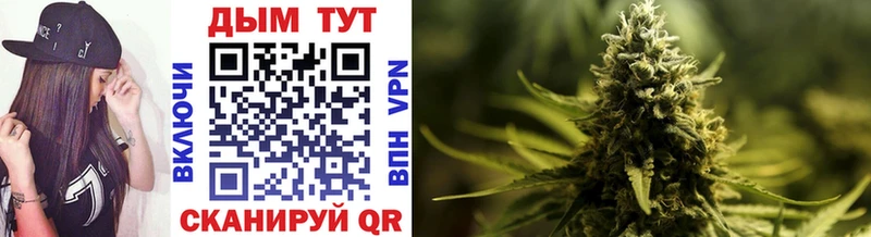 Бошки Шишки SATIVA & INDICA  KRAKEN tor  Пятигорск 